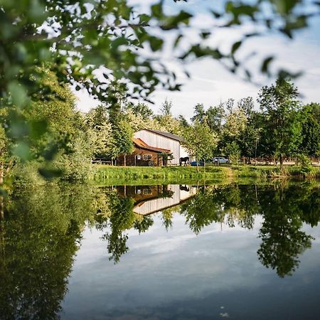 Apartment Country House Zaton Tisina Екстериор снимка
