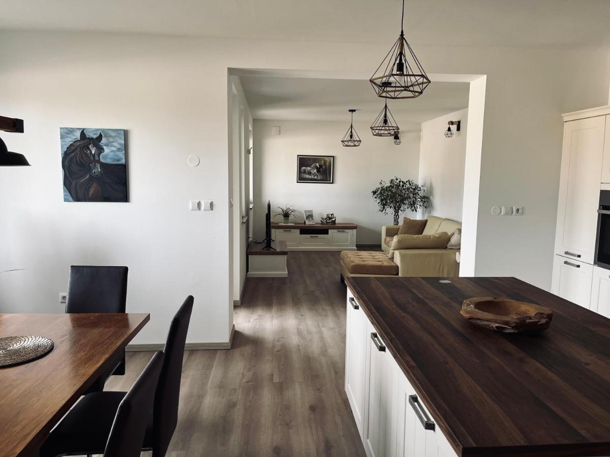 Apartment Country House Zaton Tisina Екстериор снимка