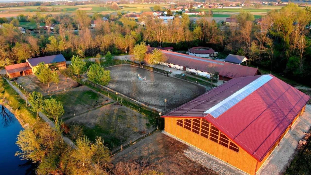 Apartment Country House Zaton Tisina Екстериор снимка