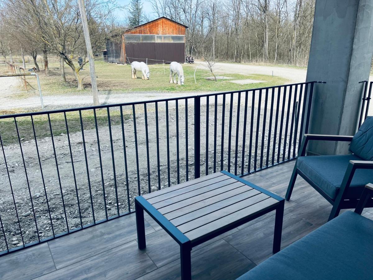 Apartment Country House Zaton Tisina Екстериор снимка