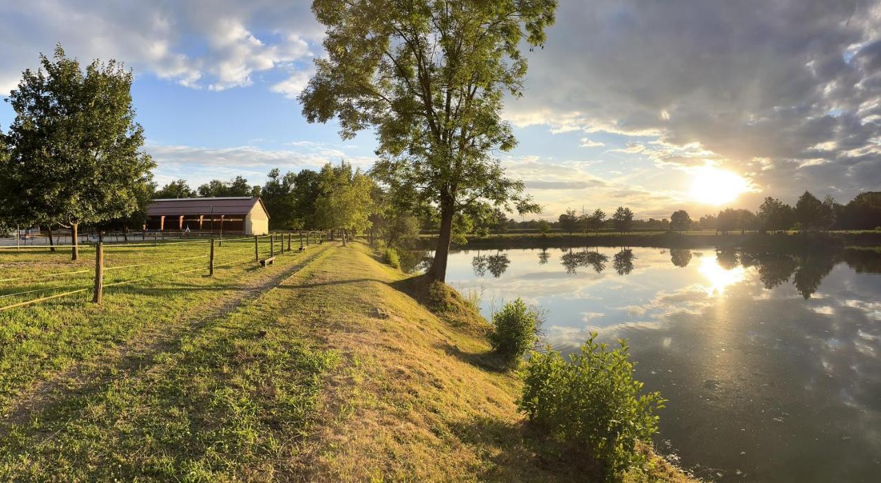 Apartment Country House Zaton Tisina Екстериор снимка